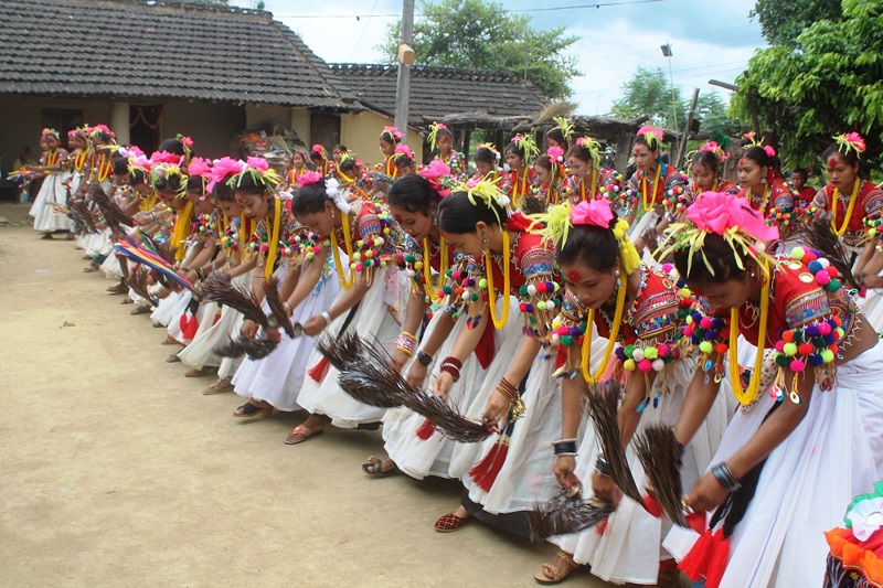 Tharu Festival Celebration