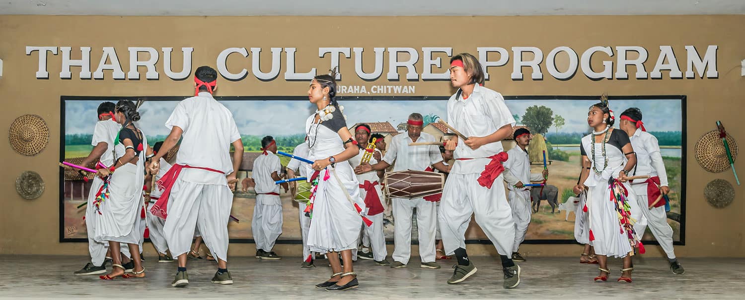Tharu Dance Performance