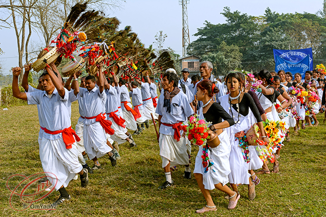 Tharu Traditional Dance